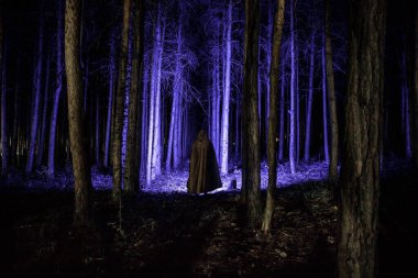 Geceleri ormanda yalnız bir kız. Korku Cadılar Bayramı konsepti. Karanlık çam ormanındaki kadın silueti. Uzun pozlu çekim.