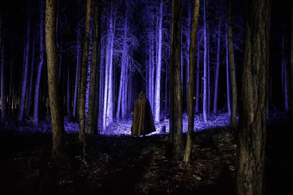 Alone girl in the forest at night. Horror Halloween concept. Silhouette of woman in dark pine forest. Long exposure shot.