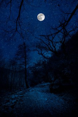 Dolunay gecesi ormanın içinden geçen Dağ Yolu. Gece yarısı, büyük aylı kır yolu manzarası. Azerbaycan doğası