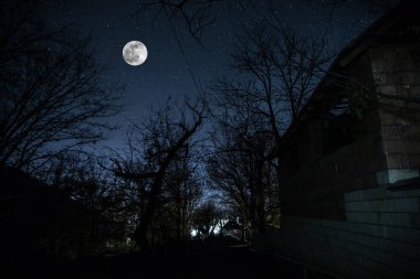 Ölü ağaçların fısıltılarıyla çevrili yoğun, sislerle kaplı ormandan antik ve perili bir malikâne çıkarken mehtaplı bir gecenin ürkütücü atmosferini kucaklayın.