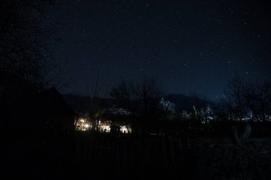 Ölü ağaçların fısıltılarıyla çevrili yoğun, sislerle kaplı ormandan antik ve perili bir malikâne çıkarken mehtaplı bir gecenin ürkütücü atmosferini kucaklayın.