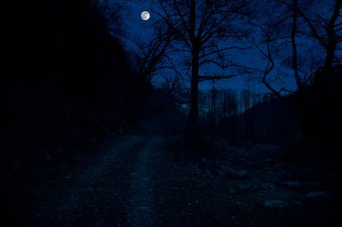 Dolunay gecesi ormanın içinden geçen Dağ Yolu. Gece yarısı, büyük aylı kır yolu manzarası. Azerbaycan doğası