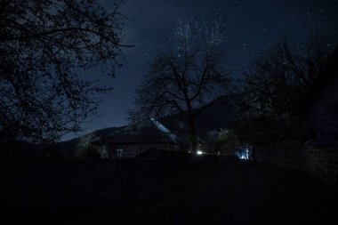 Ölü ağaçların fısıltılarıyla çevrili yoğun, sislerle kaplı ormandan antik ve perili bir malikâne çıkarken mehtaplı bir gecenin ürkütücü atmosferini kucaklayın.