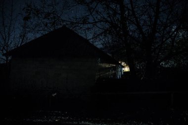 Ölü ağaçların fısıltılarıyla çevrili yoğun, sislerle kaplı ormandan antik ve perili bir malikâne çıkarken mehtaplı bir gecenin ürkütücü atmosferini kucaklayın.