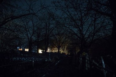 Ölü ağaçların fısıltılarıyla çevrili yoğun, sislerle kaplı ormandan antik ve perili bir malikâne çıkarken mehtaplı bir gecenin ürkütücü atmosferini kucaklayın.