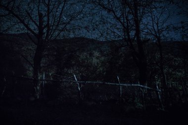 Ölü ağaçların fısıltılarıyla çevrili yoğun, sislerle kaplı ormandan antik ve perili bir malikâne çıkarken mehtaplı bir gecenin ürkütücü atmosferini kucaklayın.