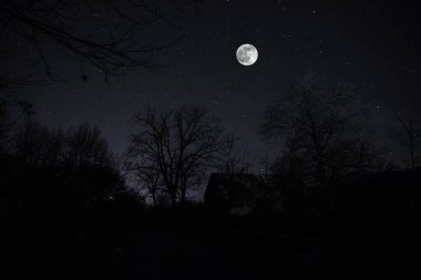 Ölü ağaçların fısıltılarıyla çevrili yoğun, sislerle kaplı ormandan antik ve perili bir malikâne çıkarken mehtaplı bir gecenin ürkütücü atmosferini kucaklayın.
