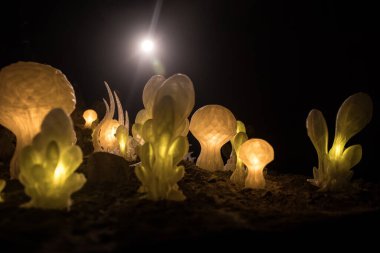 Dev Parlayan Mantarlı Başka Bir Gezegenin Soyut Minyatürü. Uzaylı Dünyası Üzerine Gece Sahnesi, Öteki Dünya Mantarları 'nın Yumuşak Parıltısı ile aydınlatılmış. Seçici odak