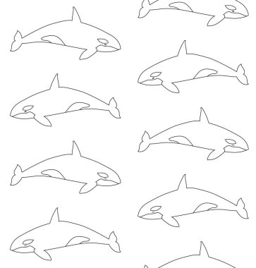 Beyaz arka planda izole edilmiş, düz elle çizilmiş katil balinanın vektör deseni.