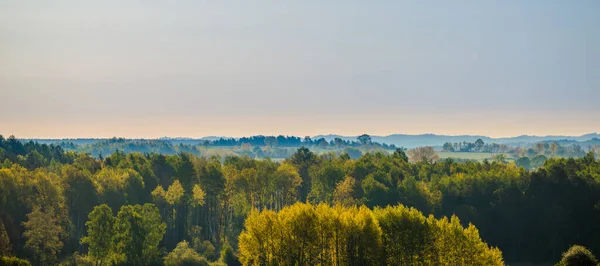 Herfstbos Panoramisch Uitzicht Vanaf Heuvel — Stockfoto