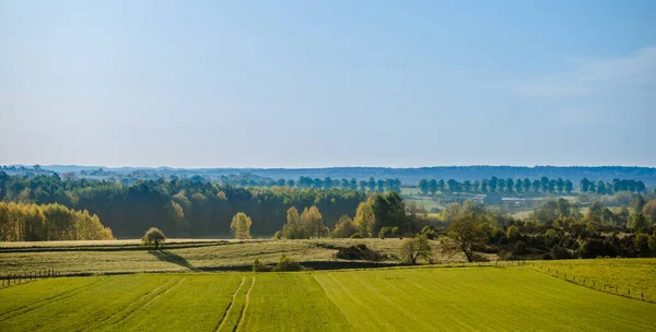 Panorama Campo Con Césped Árboles Bosque Polonia Imagen De Stock
