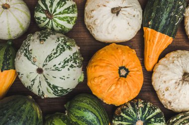Kabakların ve turuncu balkabaklarının renkli arkaplanı