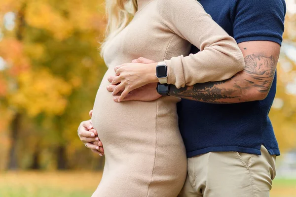 閉じるアップ写真の夫Tenderly抱擁彼女の妊娠中の妻腹に対してザ秋の公園 ストック画像