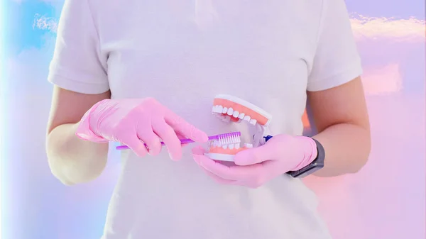 Mulher Dentista Mostrando Modelo Mandíbula Artificial Como Limpar Dentes Com — Fotografia de Stock