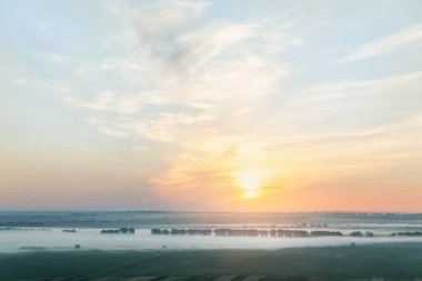 Sabahın erken saatlerinde sisli arazide ağaçlar ılık yaz gündoğumunda.