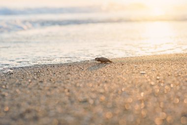 Makro fotoğraf güzel mavi bir kadın gözü doğrudan kameraya bakıyor. Genç kadınların gözlerini kapat..