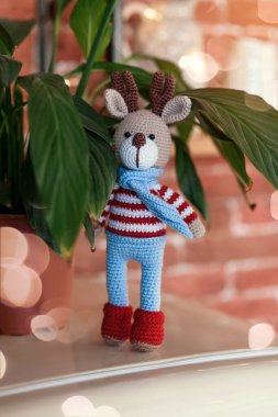 Noel geyiği. Kapalı bir oyuncak amigurumi geyiği çizgili süveter ve şık mavi eşarp.