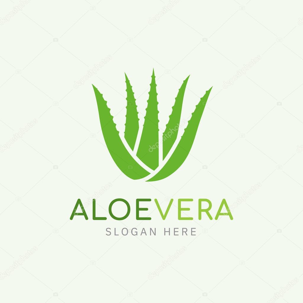 Aloe vera icon logo vector illustration