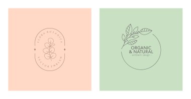 Vektör çiçekli organik amblemler. Doğrusal okaliptüs dalı ve çerçeveli doğal logo tasarımları. Moda minimalist tarzda modern eko veya biyolojik rozetler. Marka tasarım şablonları..