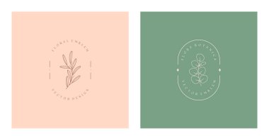Vektör çiçekli organik amblemler. Doğrusal okaliptüs dalı ve çerçeveli doğal logo tasarımları. Moda minimalist tarzda modern eko veya biyolojik rozetler. Marka tasarım şablonları..