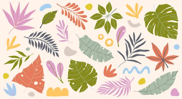 Комплект Векторных Тропических Листьев Растений Различных Органических Форм Модном Плоском — стоковый вектор