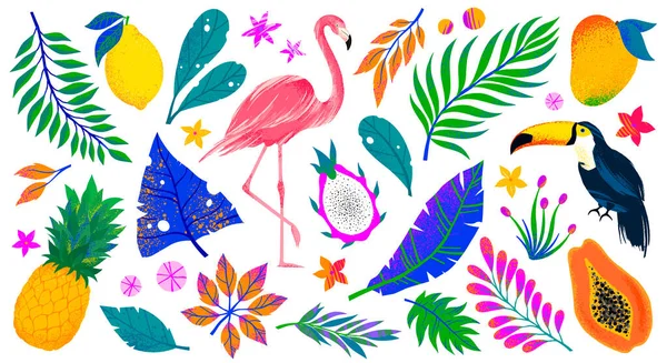 Vector Tropische Kollektion Mit Leuchtenden Blättern Flamingo Tukan Und Exotischen — Stockvektor