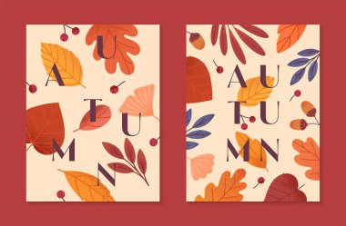 Yapraklar, ginkgo, böğürtlen, meşe palamudu ve sonbahar renklerinde bitkilerin olduğu sonbahar posterleri. Baskı, reklam, sosyal medya pazarlama, markalaşma, amalar için modaya uygun sonbahar şablonları..