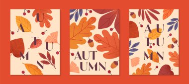 Yapraklar, ginkgo, böğürtlen, meşe palamudu ve sonbahar renklerinde bitkilerin olduğu sonbahar posterleri. Baskı, reklam, sosyal medya pazarlama, markalaşma, amalar için modaya uygun sonbahar şablonları..