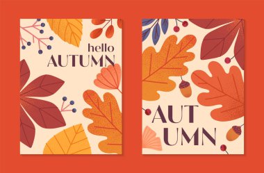 Yapraklar, ginkgo, böğürtlen, meşe palamudu ve sonbahar renklerinde bitkilerin olduğu sonbahar posterleri. Baskı, reklam, sosyal medya pazarlama, markalaşma, amalar için modaya uygun sonbahar şablonları..