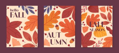 Yapraklar, ginkgo, böğürtlen, meşe palamudu ve sonbahar renklerinde bitkilerin olduğu sonbahar posterleri. Baskı, reklam, sosyal medya pazarlama, markalaşma, amalar için modaya uygun sonbahar şablonları..