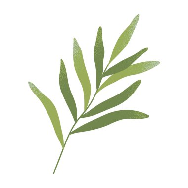 Yaprak taşıyıcı ile izole edilmiş yeşil dal. Botanik amblem tasarım elementi. Parmak izi, el ilanı, el ilanı, pankart, düğün, davetiye, markalaşma tasarımı, tırnak tasarımı için el çizimi bahar veya yaz illüstrasyonu..