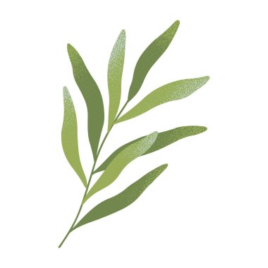 Yaprak taşıyıcı ile izole edilmiş yeşil dal. Botanik amblem tasarım elementi. Parmak izi, el ilanı, el ilanı, pankart, düğün, davetiye, markalaşma tasarımı, tırnak tasarımı için el çizimi bahar veya yaz illüstrasyonu..