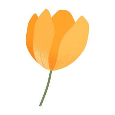 Bahar sarısı lale. Çiçek amblemi dizaynı için izole bir element. Botanik logosu şablonu. Anneler Günü için çiçek ilanı, kadınlar günü, paskalya baskıları, el ilanları, afişler, selamlar, markalar, kaplamalar.