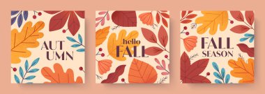 Yapraklar, böğürtlenler, yapraklar, yapraklar ve bitkilerle sonbahar çizimleri. Vektör mevsimi modern kartlar. Baskı, reklam, sosyal medya pazarlaması, markalaşma, paketleme için modaya uygun sonbahar şablonları..