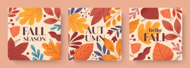 Yapraklı, meyveli, yapraklı, yeşillikli ve bitkili sonbahar kartları. Vektör sonbahar dönemi modern illüstrasyonları. Baskılar, reklamlar, sosyal medya pazarlaması, markalaşma, paketleme, kaplamalar için modaya uygun sonbahar şablonları..