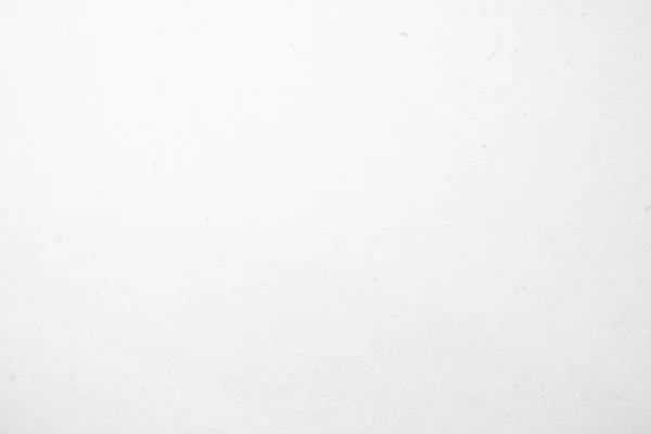 빈티지 Grunge 리토네 구겨진 표면흰 양피지빈 자연의 디자인 — 스톡 사진