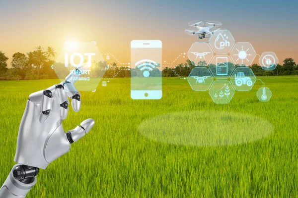 Smart farming with iot, Virtual icons of agricultural mobile app and tablet computer. Growing rice farming with Infographics & robot holds smart agriculture and precision agriculture industry with modern technology for develop his farm productivity.