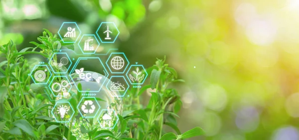 Environment day world concept - Globe glass in green forest with sunlight in nature and abstract icon. Community teamwork, CSR and ESG environmental energy saving collaboration, ecology management. Future technology concept with businessman using.