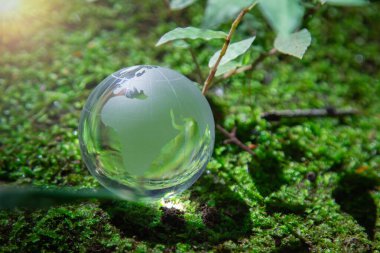 Yeşil orman bitkileriyle çevrili cam küre, doğayı, çevreyi, sürdürülebilirliği, ESG yeşil enerjiyi sembolize ediyor. Dünya çevre günü konsepti, iklim değişikliği farkındalığı hedefleri