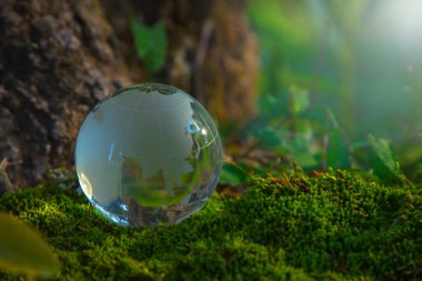Yeşil orman bitkileriyle çevrili cam küre, doğayı, çevreyi, sürdürülebilirliği, ESG yeşil enerjiyi sembolize ediyor. Dünya çevre günü konsepti, iklim değişikliği farkındalığı hedefleri