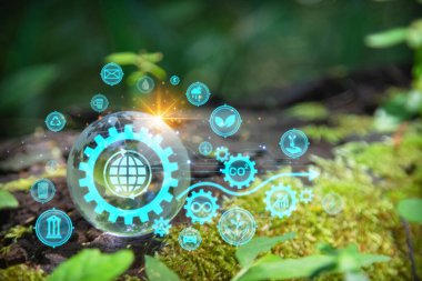 Yeşil orman bitkileriyle çevrili cam küre, doğayı, çevreyi, sürdürülebilirliği, ESG yeşil enerjiyi sembolize ediyor. Dünya çevre günü konsepti, iklim değişikliği farkındalığı hedefleri