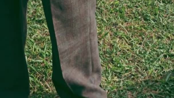 Дівчина Парку Одягає Лінзу Камеру — стокове відео