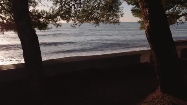 Kamera Ağaçların Arasından Kıyıya Doğru Yavaşça Ilerliyor — Stok video
