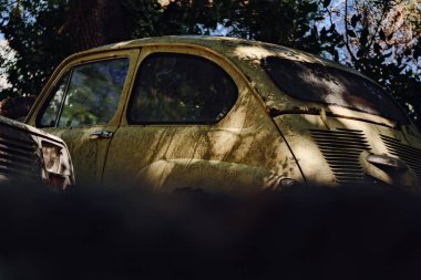 Eski sarı bir araba bir ağacın gölgesinde duruyor. Boya cesetten soyuluyor. Arabanın bedeni paslanmış.