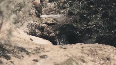 Kayalık bir alandan akan bir su akıntısı var. Su berrak ve kayalar pürüzsüz. Huzurlu ve huzurlu bir sahne.