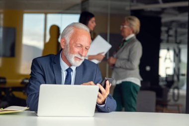laptop iç modern beyaz ofis çalışma işadamı üst düzey gri saç