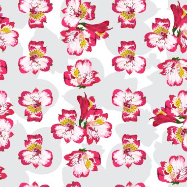 Pembe alstromerya ya da Peru zambağı çiçekli vektörsüz desen. Çiçek arkaplan, duvar kağıdı.