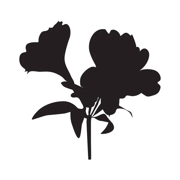 Silueta Negra Alstroemeria Flor Tropical Lirio Peruano Ilustración Vectorial Aislada — Archivo Imágenes Vectoriales