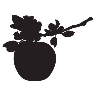 Elma ağacı çiçeği siyah silueti, vektör çizimi beyaz arkaplanda izole edilmiş. Çiçekli ve elmalı güzel meyve dalı.