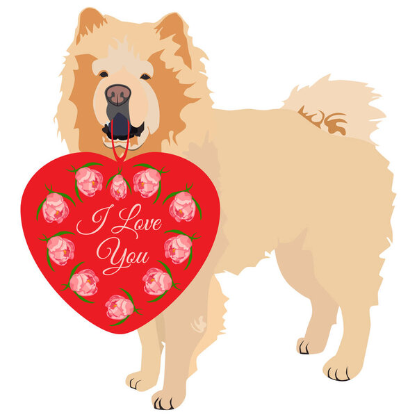 Чау-чау-дог с красным сердцем. Открытки на день Святого Валентина, векторная иллюстрация.